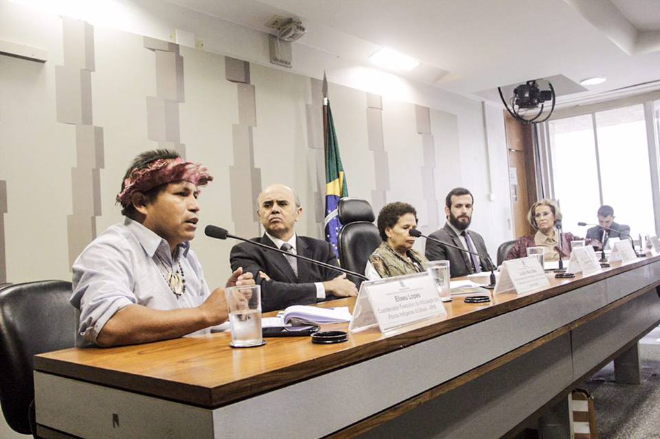 Comissão de Direitos Humanos do Senado Federal discute situação dos povos indígenas do Brasil