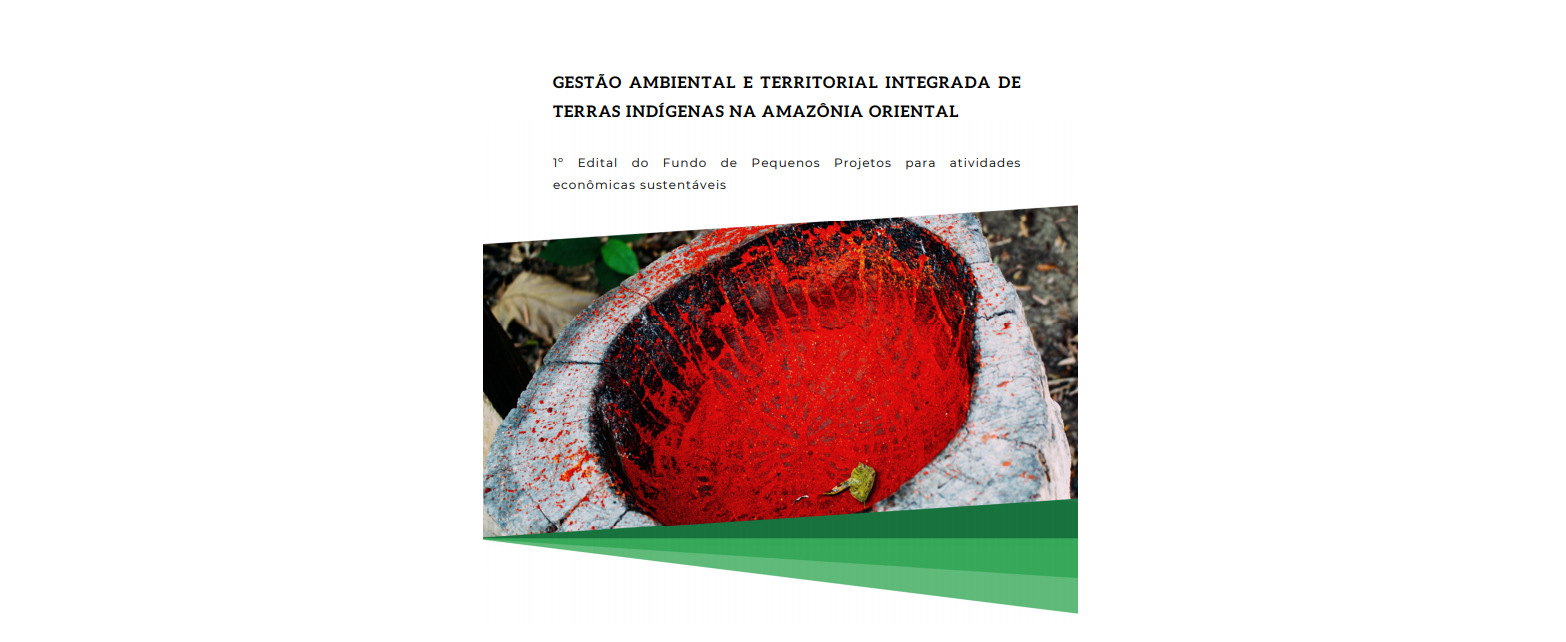 CTI e ISPN lançam edital para apoiar Projetos de Gestão Ambiental e Territorial de Terras Indígenas