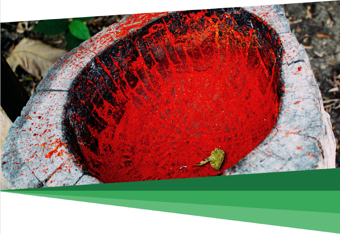 Pandemia: Edital para pequenos projetos indígenas é prorrogado