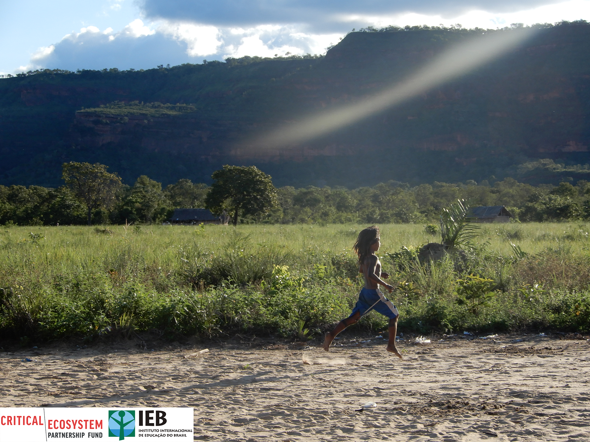 Dia Nacional do Cerrado: como estamos atuando em defesa do bioma?