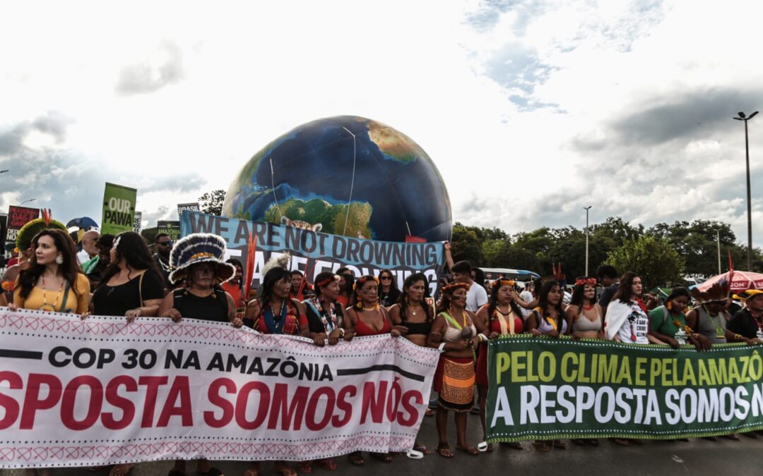 Apib lança NDC indígena e Comissão Internacional para COP-30