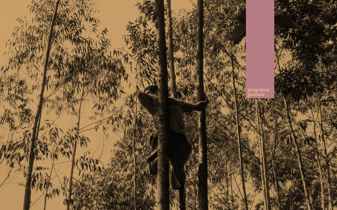 CTI abre seleção para assessoria técnica no Programa Aldeias (SP)