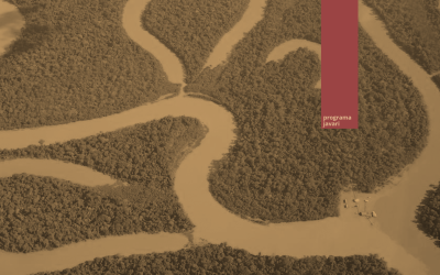 CTI abre seleção para assessoria técnica no Programa Javari