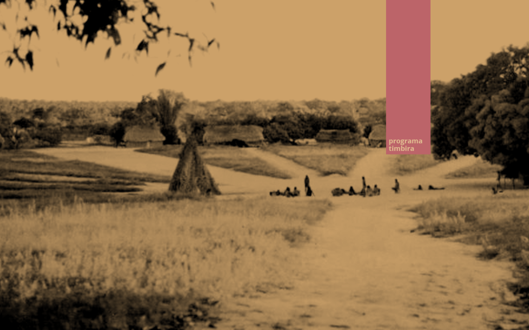 Wyty Catë abre seleção para a coordenação administrativa e financeira para atuar no Fundo Patrimonial Timbira