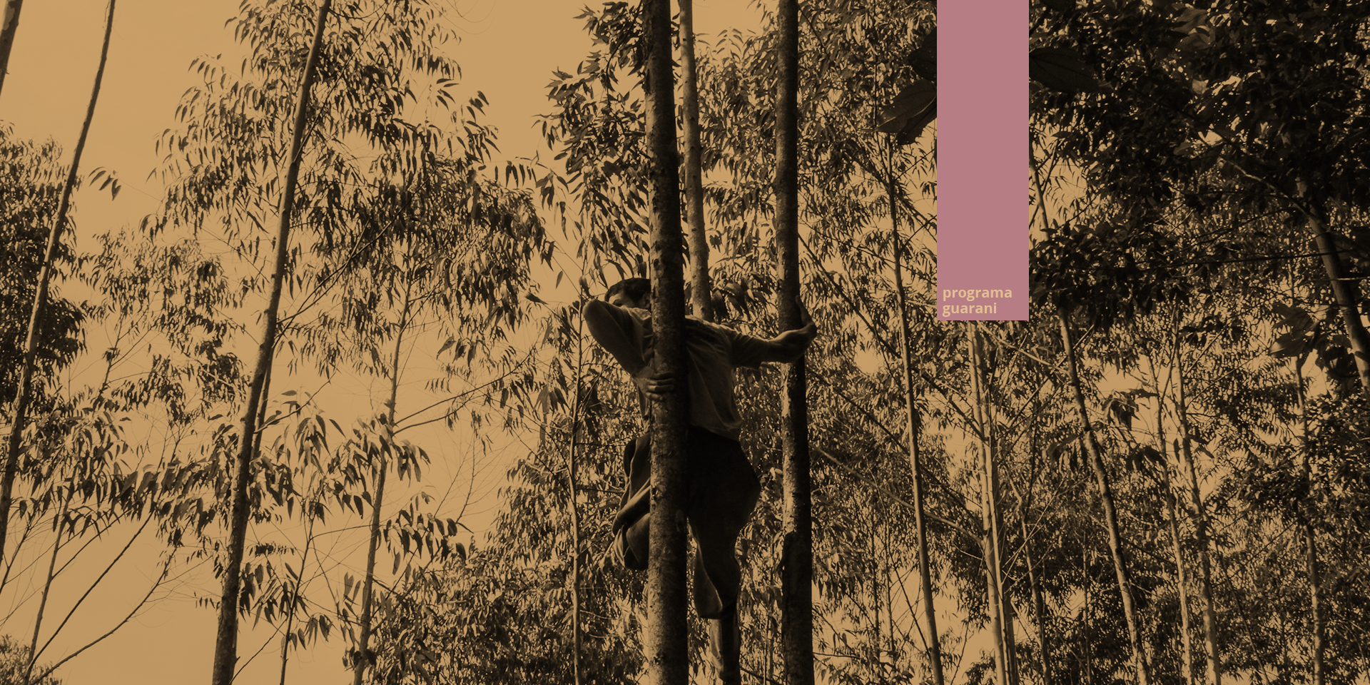 CTI_header_guarani