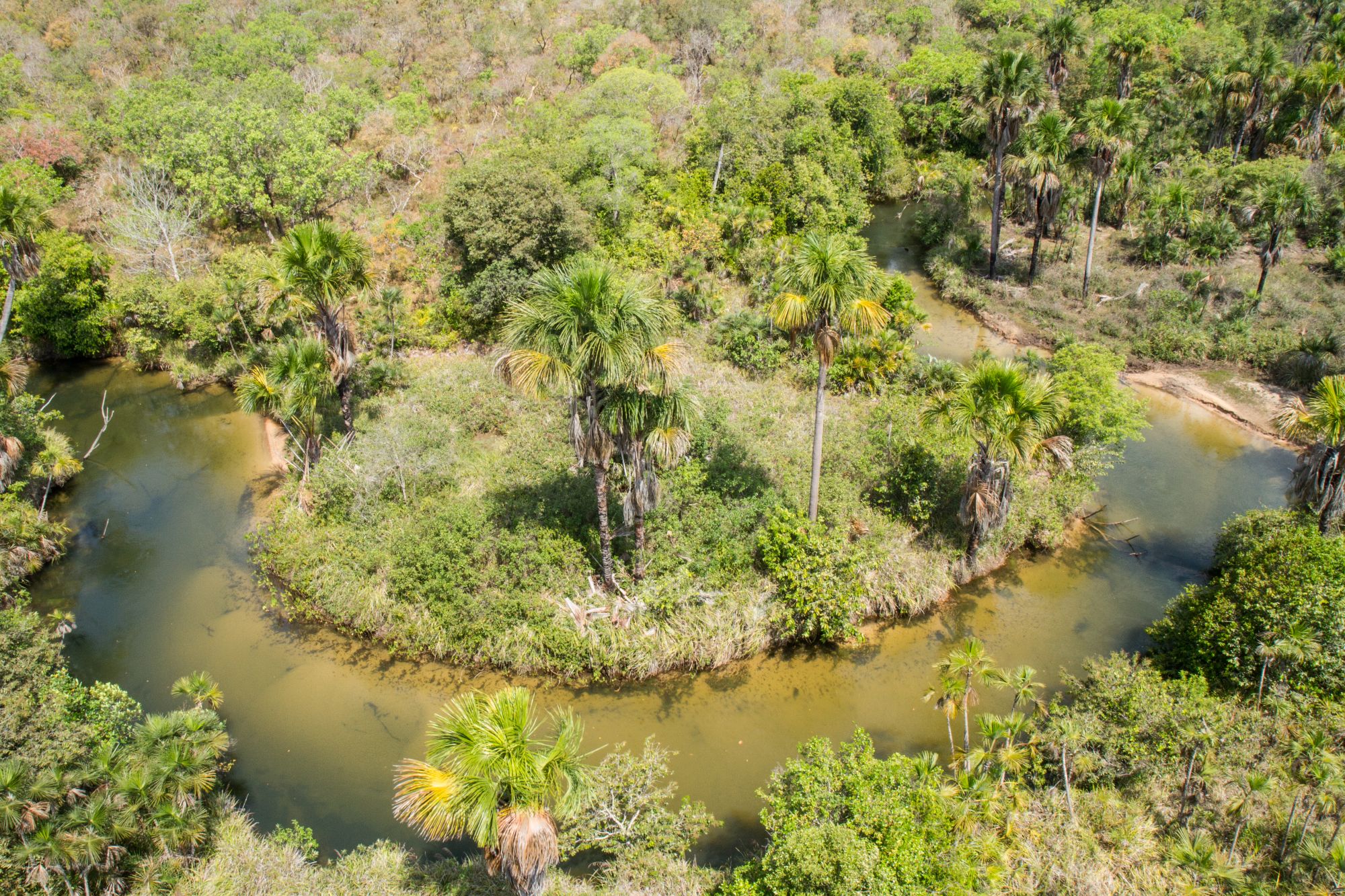 parque_estadual_mirador_divulgacao_sema-1